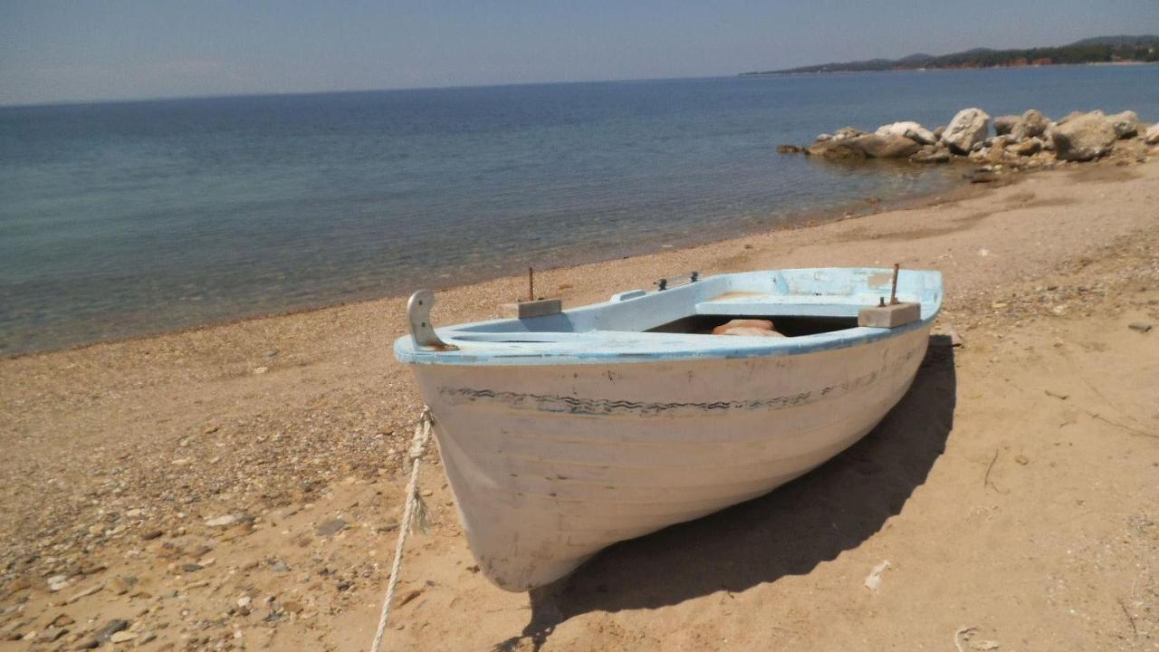Finikas Garden Beach Resort Nikiti Zewnętrze zdjęcie